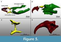 s figure5