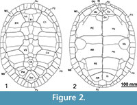 s figure2