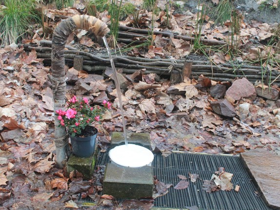 Brunnen mit Blume im Wald