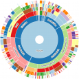 Sunburst showing genome diversity