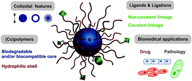 Graphical abstract: Design, functionalization strategies and biomedical applications of targeted biodegradable/biocompatible polymer-based nanocarriers for drug delivery