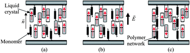 Graphical abstract: Electric polarization frozen by a polymer network in nematic liquid crystals