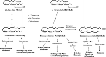 Graphical abstract: Omega-3 fatty acids and cardiovascular disease: epidemiology and effects on cardiometabolic risk factors