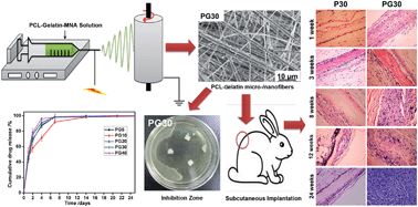 Graphical abstract: Fabrication and evaluation of electrospun PCL–gelatin micro-/nanofiber membranes for anti-infective GTR implants