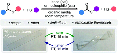 Graphical abstract: A user's guide to the thiol-thioester exchange in organic media: scope, limitations, and applications in material science