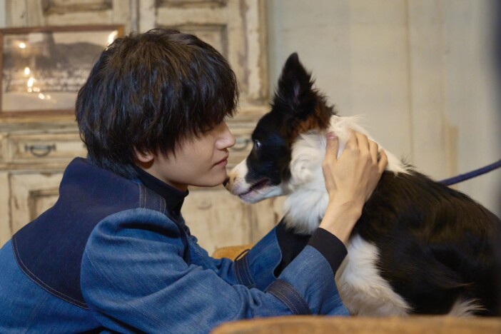 『明日を綴る写真館』犬の吾郎さんショット