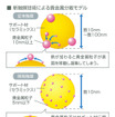 マツダ、白金やパラジウムを大幅低減できる触媒の開発に成功