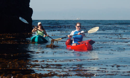 kayakers