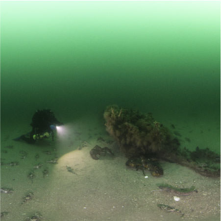 diver examining the wreck of paul palmer surrounded by fish