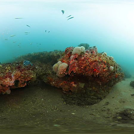 acoustic receiver suspended in the water column