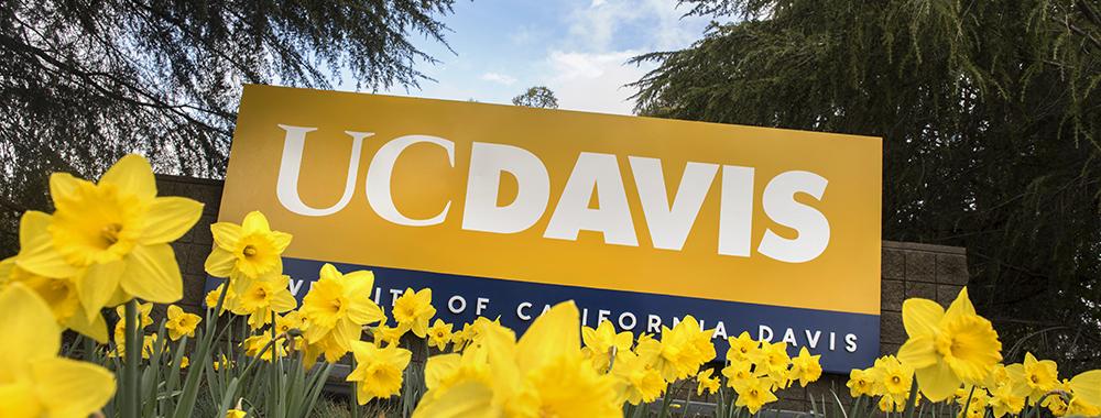 flowers in front of uc davis 