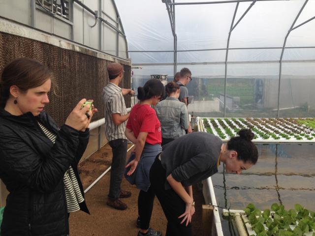 Students on a site visit to aqua dulce