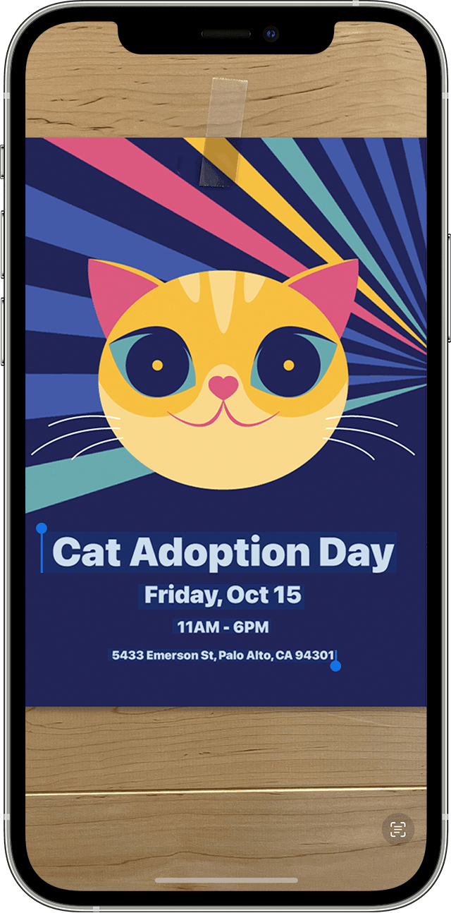 反白「Cat Adoption Day」（貓咪收養日）海報照片中的文字以顯示「原況文字」按鈕