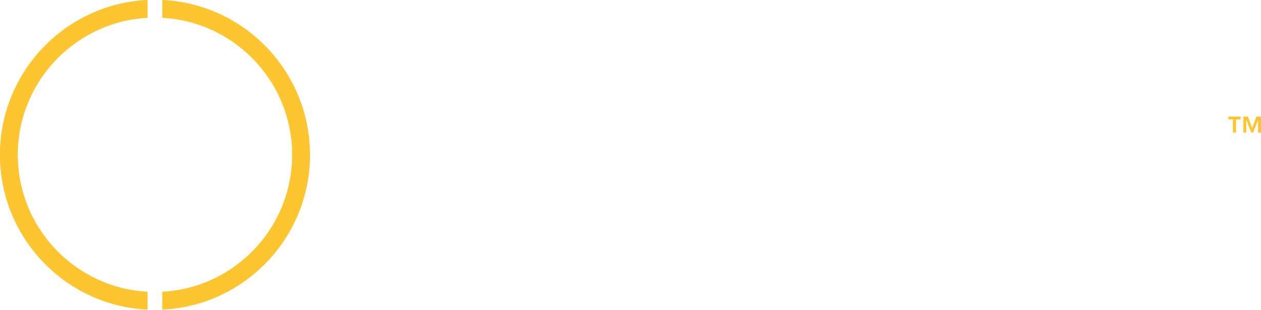 Cyberhawk logo