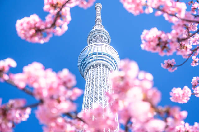 東京スカイツリー