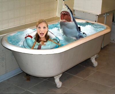 SHAAAAARK!.jpg