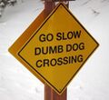 Dumbdogcrossing.jpg