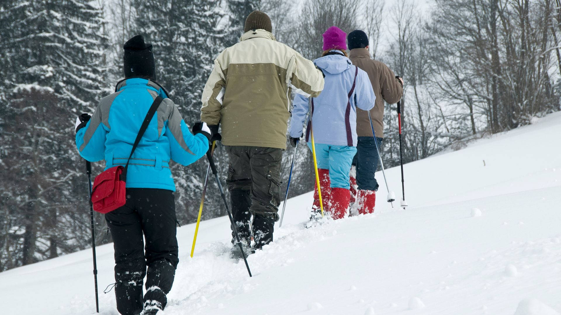 Snowshoeing Wallpaper