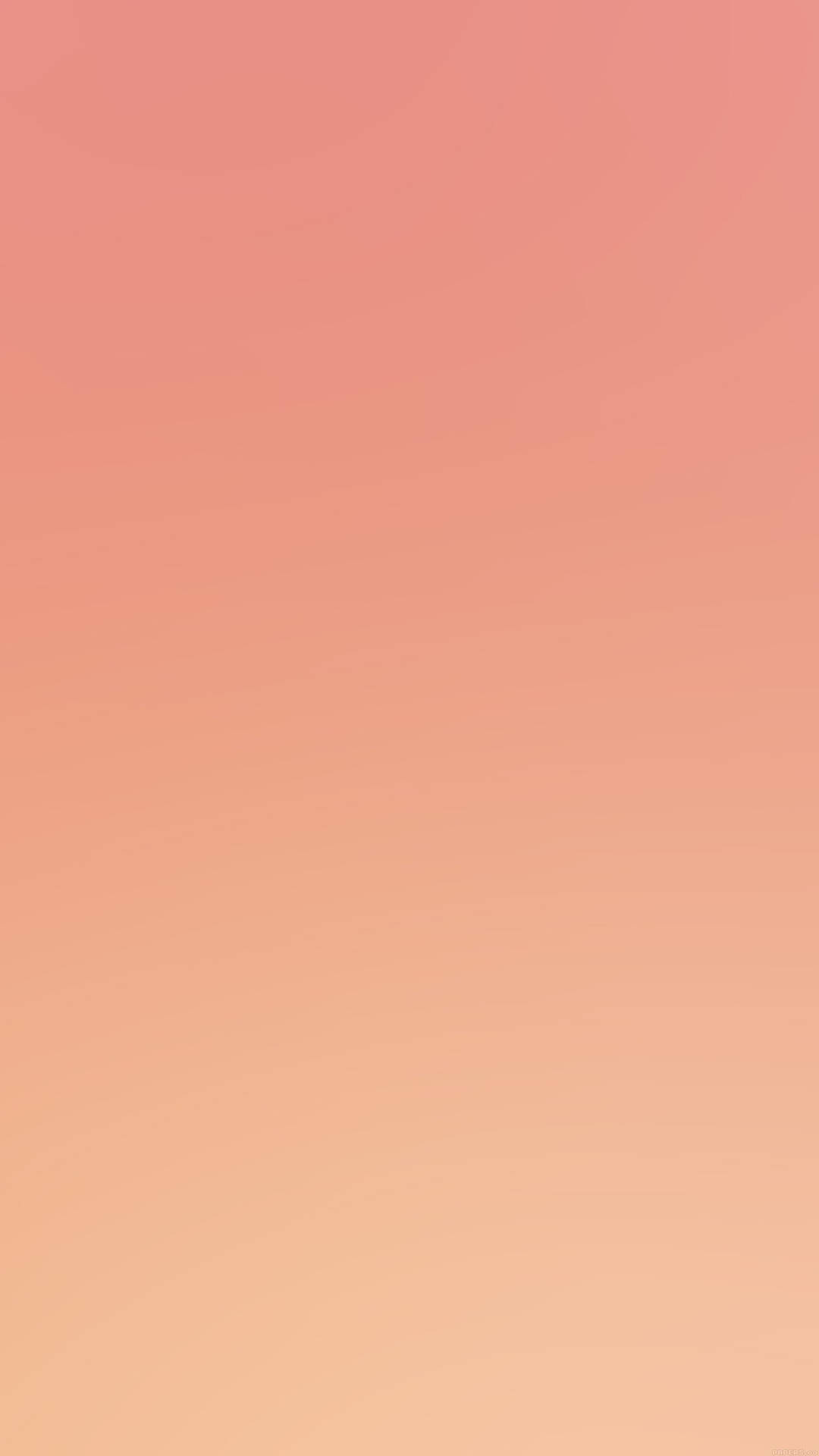 Peach Soft Gradient Wallpaper