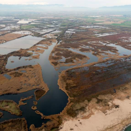 Aiguamolls de l'Empordà