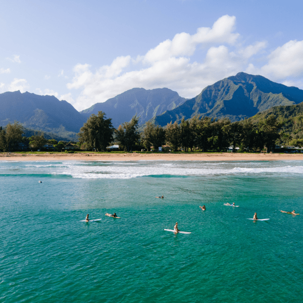 Guests enjoying the ocean using paddleboards with a view of the beach and mountain ranges 