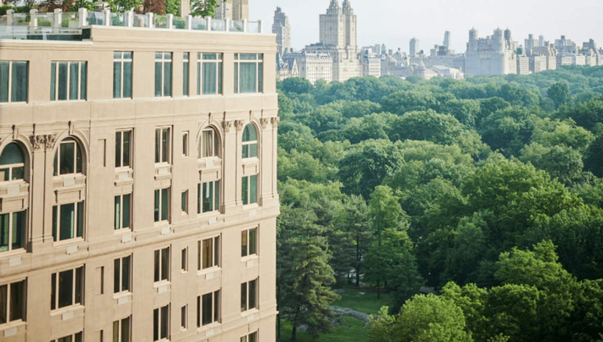 View of central park and skyline 