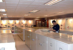 Hong Kong Herbarium