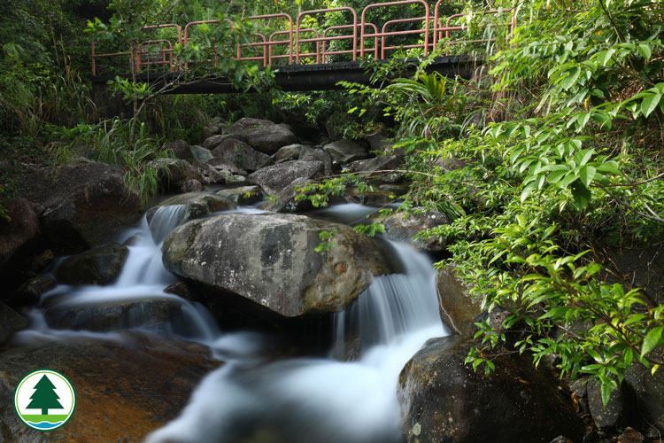 Stream at Lung Mun Country Trail