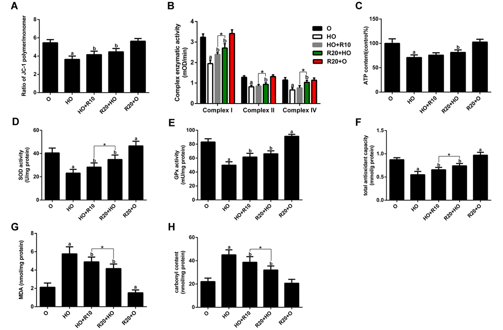 Effects of RSV on mitochondrial function and oxidative stress in the GAS muscles. (A) Δψm. (B) Activities of complexes I, II, and IV. (C) ATP content. (D and E) Activities of SOD and GPx. (F) T-AOC. (G) MDA levels. (H) Carbonyl protein content. Data are expressed as the mean ± SD. aP bP P 