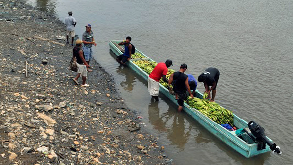  About 2,000kg of narcotics was seized in a single haul near the Caribbean coast last month [Joe Jackson/Al Jazeera]