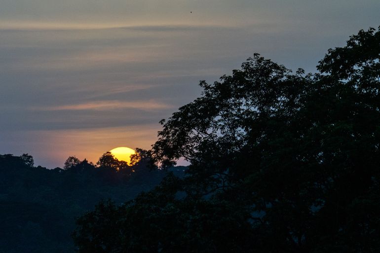 Gabon's Pongara National Park forest