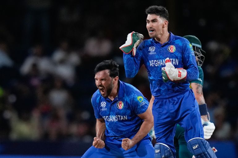 Afghanistan's Gulbadin Naib, left, and Rahmanullah Gurbaz celebrate the dismissal of Australia's Glenn Maxwell in T20 World Cup cricket match