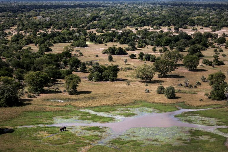 Gorongosa National Park