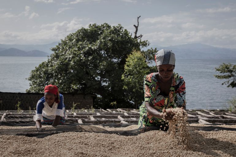 Coffee farmers in DRC