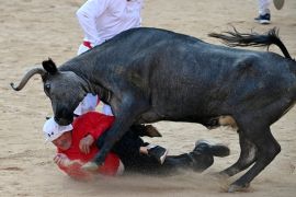 A participant is hit by a young bull during a show after the second &quot;encierro&quot;, or bull run, at the San Fermin festival. [Miguel Riopa/AFP]