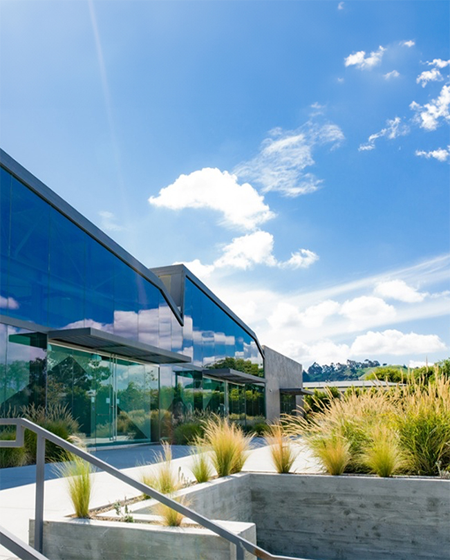 Passarela ladeada por plantas em primeiro plano, com escritórios envidraçados da Apple ao fundo.