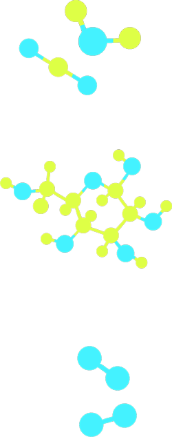 Dos modelos moleculares: uno de dióxido de carbono y otro de agua.