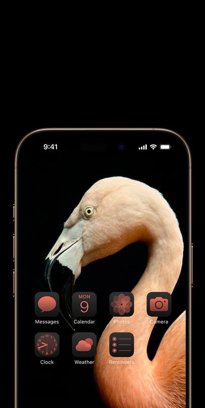 iPhone 16 screen with a dynamic side-profile photo of a pink flamingo  and widgets tinted pink to match.