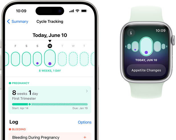 شاشة Apple Watch تعرض تتبّع الحمل مع عارض تغيرات في الشهية. شاشة iPhone تعرض عمر الحمل وتتبّع الحمل في تطبيق تتبّع الدورة.‏