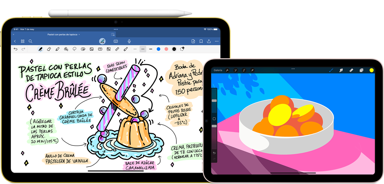 A la izquierda, un iPad de décima generación en posición horizontal muestra un trabajo gráfico con notas y un dibujo, y tiene un Apple Pencil USB-C adherido arriba. A la derecha, un iPad Mini en posición horizontal muestra una ilustración colorida realizada con ProCreate.