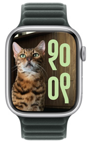 Photo Face of a cat with custom time size and language script on Apple Watch hardware