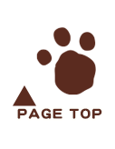 PAGETOP