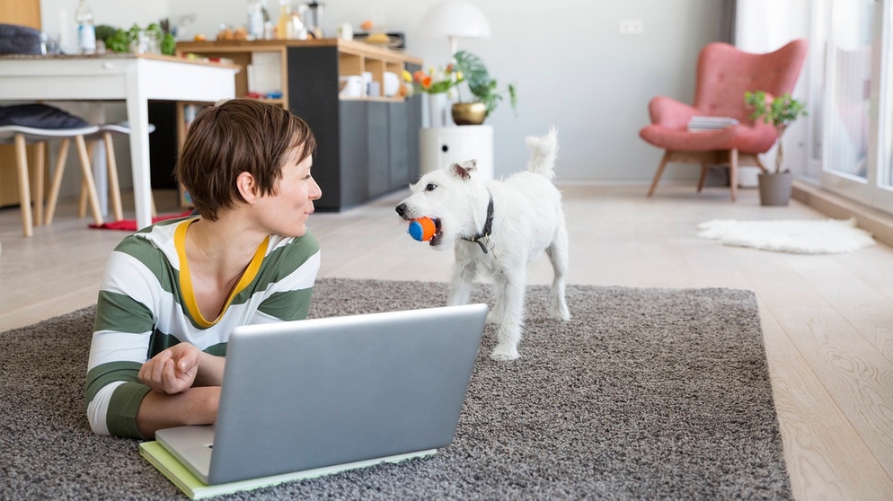 Frau am Fußboden mit Laptop schaut auf einen kleinen Hund, der neben ihr steht. Was ist der Grund für Prokrastination? Häufig prokrastinieren Menschen, denen ein strukturierter Tagesablauf fehlt. Es ist aber nicht die einzige Ursache. | Bild: picture alliance / Westend61 | Rainer Berg