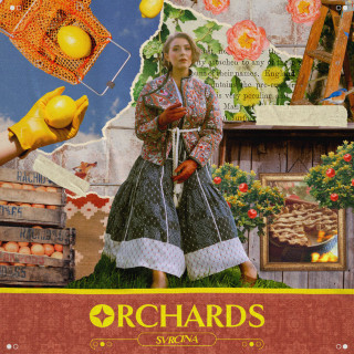 Svrcina - Orchards album cover