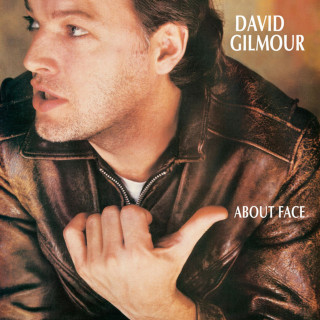 David Gilmour - About Face album cover