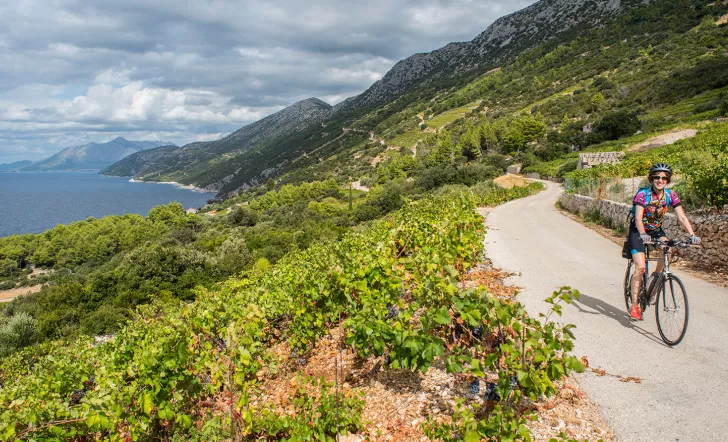 Guest cycling on coastal road past grapevines, ocean on her right.