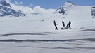 Abdecken des Gletschers am Matterhorn. Zermatt – Wallis, Schweiz.  | Bild: NGF Nikolaus Geyrhalter Filmproduktion GmbH/Lukas Gnaiger