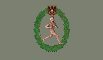 Orientierungslauf Bronze