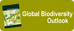 Global Biodiversity Outlook