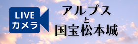 事業バナー1